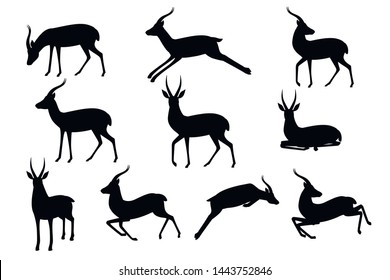 Gazelle の画像 写真素材 ベクター画像 Shutterstock