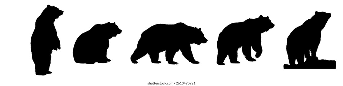 Black silhouette set of bears vector illustration