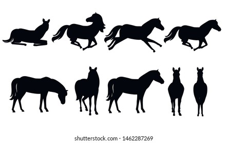 Black silhouette set of brown horse wild or domestic animal cartoon design flat vector illustration isolated on white background