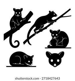 Conjunto de siluetas negras de marsupiales de cuscús que suben y se sientan en ramas.