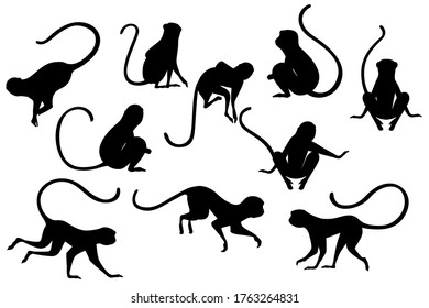 Black silhouette set of cute vervet monkey cartoon animal design flat vector illustration isolated on white background