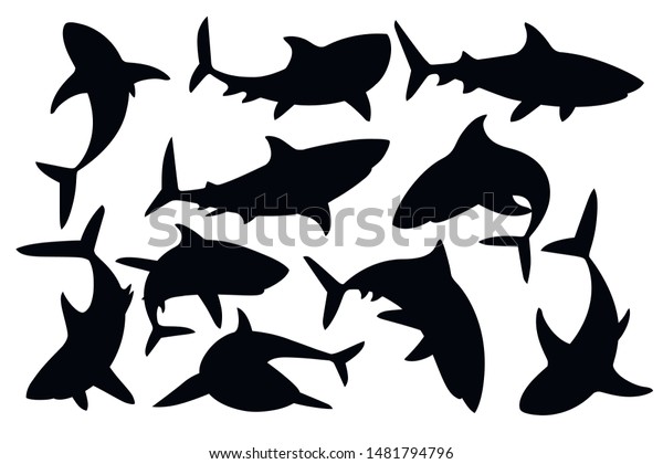 Black\
silhouette set of shark with mouth closed in different poses Shark\
with mouth closed giant apex predator cartoon animal design flat\
vector illustration isolated on white\
background