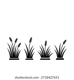 Conjunto de silueta negra de varias plantas de hierba y prado aisladas sobre fondo transparente.