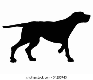 The black silhouette of a setter on white