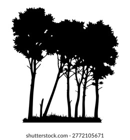 A black silhouette of several pine trees standing close together with grass at their base.