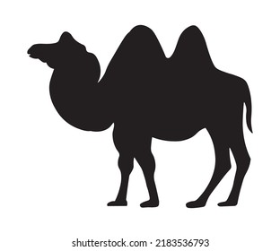 black silhouette, shadow of a double-humped camel