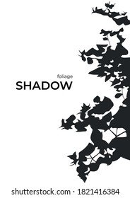 Black silhouette shadows from trees and branches. Shadow for overlay. Branches and leaves, flat outline of plants on a white background.