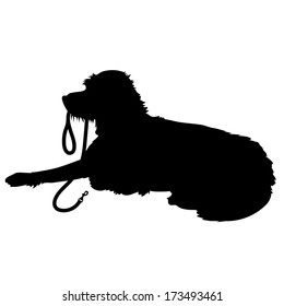 A Black Silhouette Of A Shaggy Dog Lying Down With His Leash In His Mouth Waiting To Go For A Walk