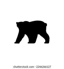 Black silhouette shape of bear walking, vector illustration isolated on white background. Wild bear standing full length side view in monochrome outline.