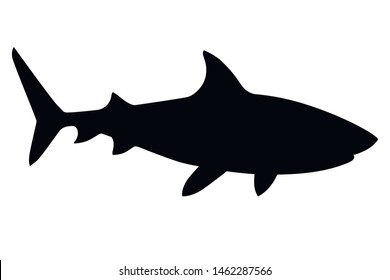 Black silhouette shark giant apex predator cartoon animal design flat vector illustration isolated on white background