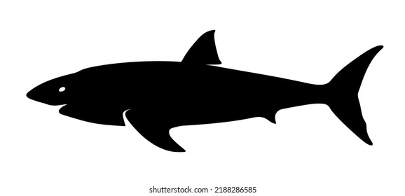 Black silhouette of a shark isolated on a white background. Vector illustration