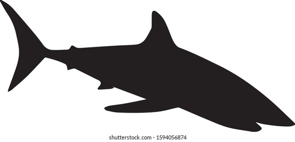 Black Silhouette Shark On White Background Stock Vector (Royalty Free ...