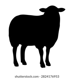 A black silhouette of a sheep facing forward, highlighting its woolly body and distinctive head shape, set against a plain white background.