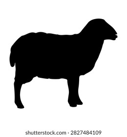 A black silhouette of a sheep in profile view, highlighting its woolly body and distinctive head shape, set against a plain white background.