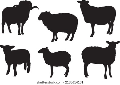 Black silhouette of sheep, ram and lamb in different poses on a white background. Standing, going. Domestic animals. Set of vector realistic illustrations