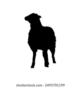 black silhouette of a sheep - vector illustration
	