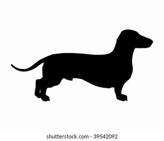 The black silhouette of a shortlegged Badger Dog