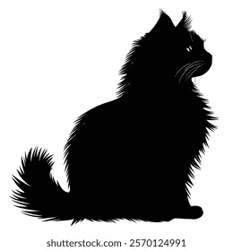 Black silhouette of a Siberian or Siberian Forest Cat