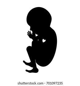 black silhouette of side view fetal growth a ninth month vector illustration