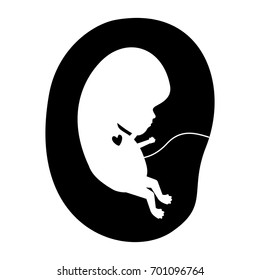 black silhouette of side view fetus human growth in placenta vector illustration