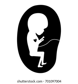 black silhouette of side view fetus human growth in placenta trimestrer vector illustration