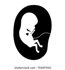 black silhouette of side view fetus human growth in placenta a few weeks vector illustration