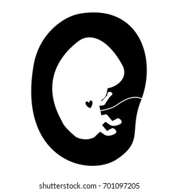 black silhouette of side view fetus human embryo growth in placenta vector illustration