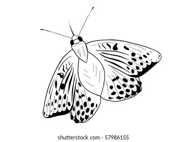black silhouette of simple butterfly