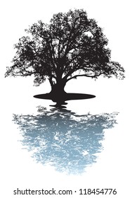 Black Silhouette Of Single Beautiful Big Oak Tree With Reflection Isolated On A White Background. Vector.