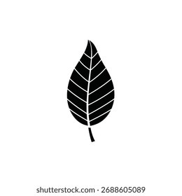 Silhueta preta de uma única folha com veias visíveis em um fundo branco.