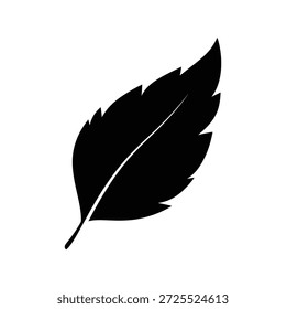 Silueta negra de una sola hoja puntiaguda con una vena central sobre un fondo blanco hoja, planta, naturaleza, flora, silueta, blanco y negro