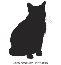 A black silhouette of a sitting cat