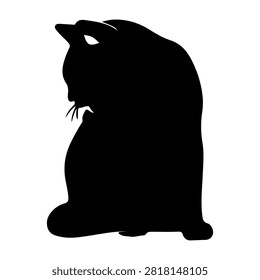 A black silhouette of a sitting cat with pointed ears, curled tail, and whiskers, set against a plain background, emphasizing feline posture and shape.