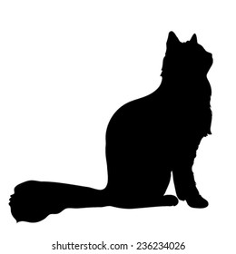 44+ Fluffy Black Cat Silhouette Images