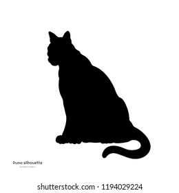 Black Silhouette Of Sitting Puma. Isolated Image Of Cougar On White Background. Animal Of North America. Vector Illustration