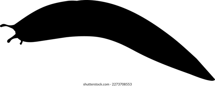 Black silhouette of slug isolated on white background