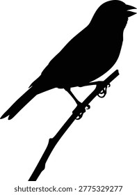 A black silhouette of a small bird is perched on a slender, dark branch against a white background.