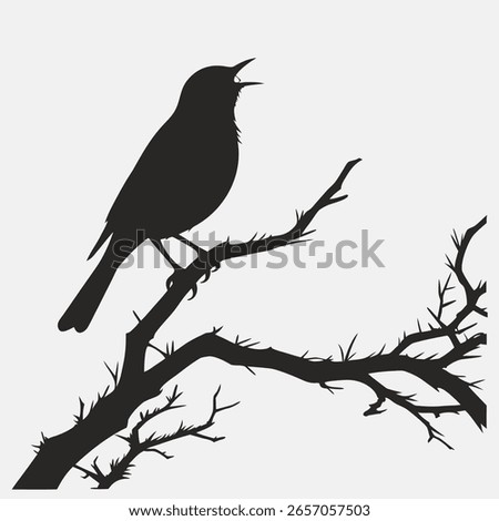 Black Silhouette Small Bird Singing on Branch vector