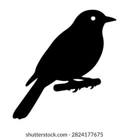 A black silhouette of a small bird sitting on a branch, highlighting its shape and posture against a plain background.