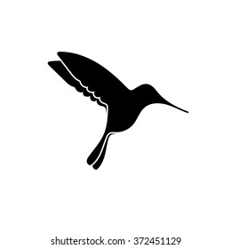 Black silhouette of small colibri. eps10
