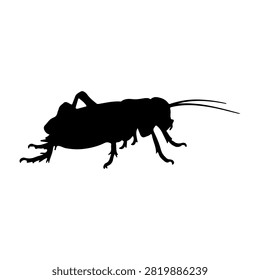 A black silhouette of a small insect, possibly a flea or similar pest, shown in profile against a plain white background.