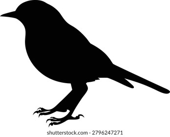 Black silhouette of a small perching songbird isolated on a white background with silhouette wildlife songbird passerine isolated background ornithology perching stenciled illustration