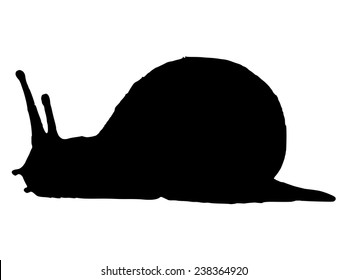 black silhouette of snail