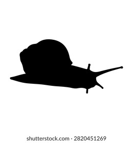 A black silhouette of a snail with a coiled shell and extended antennae, highlighting its distinctive shape and natural form.