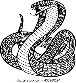 Black silhouette of a snake on a white background, logo, colorin