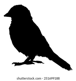 black silhouette of sparrow