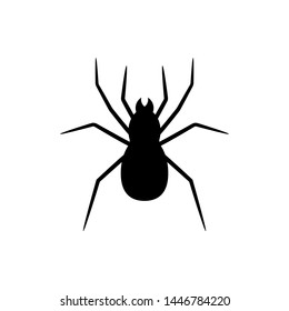 Black silhouette of spider isolated on white background. Halloween decorative element. Vector illustration for any design.