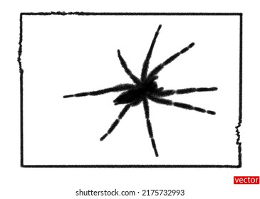 Black silhouette of spider isolated on white background with space for text. Halloween card template. Insect black and white pattern. Fluffy black spider. Vector