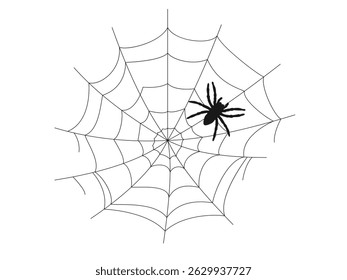 Black silhouette of a spider on a web. Vector illustration on a white background