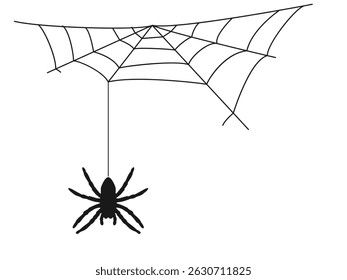 Black silhouette of a spider on a web. Vector illustration on a white background